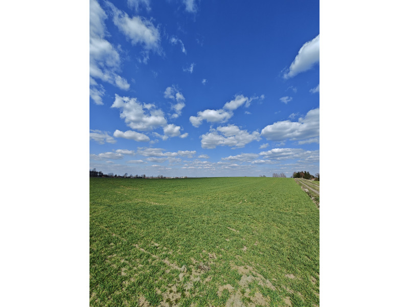 Augustów  ul. Składowa, pow. 2,047 ha