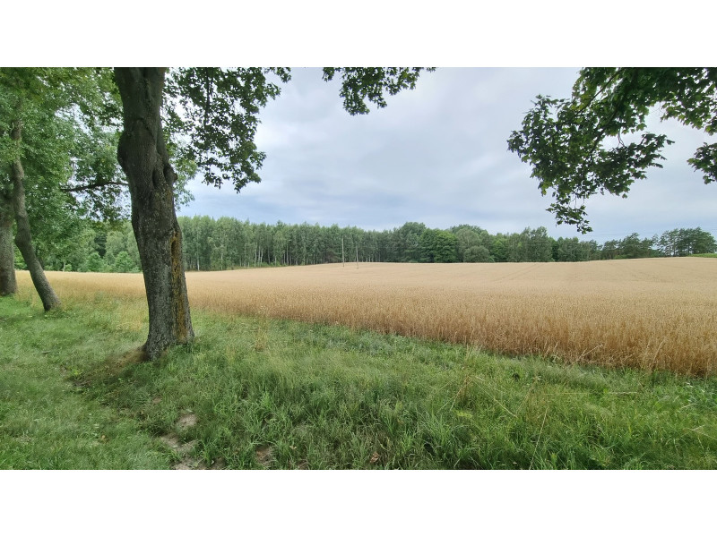 Haćki dz. nr ew.: 372 i 373, pow. 2.4011 ha