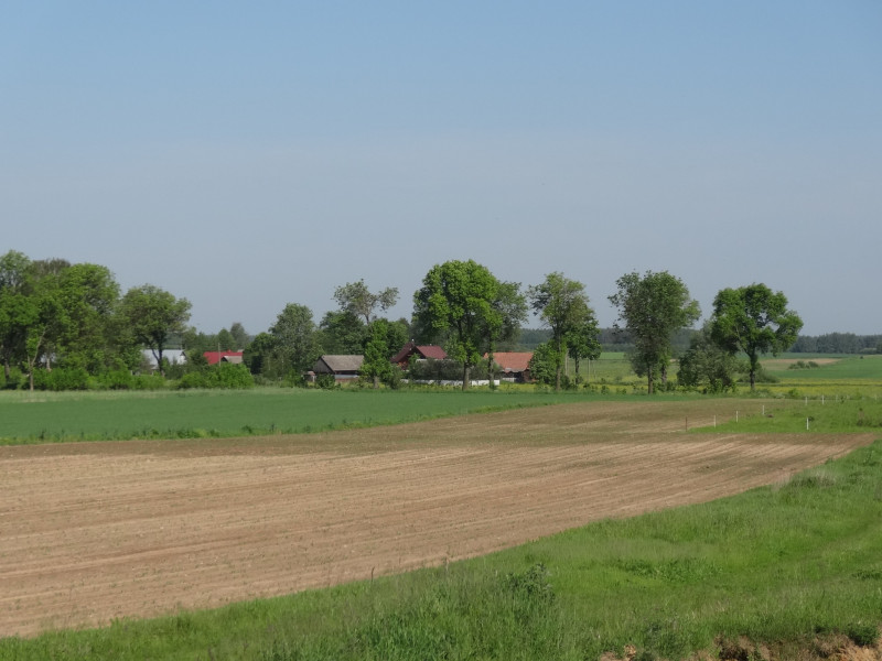 Kotły, Gmina Bielsk Podlaski działka o pow. 6,5481 ha