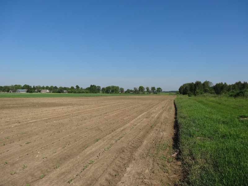 Kotły, Gmina Bielsk Podlaski działka o pow. 6,5481 ha
