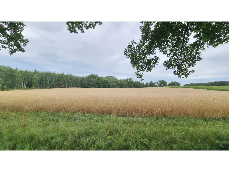 Haćki dz. nr ew.: 372 i 373, pow. 2.4011 ha