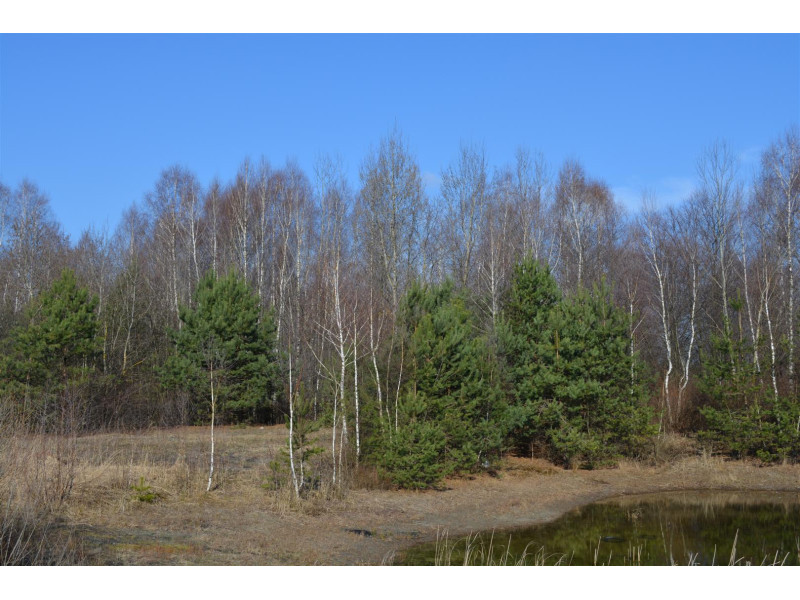 Czeremcha, działka o nr 1124, pow. 40.7326 ha